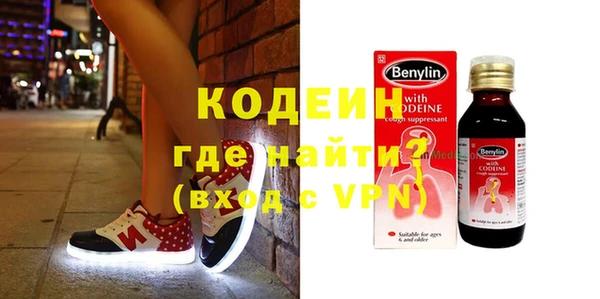 шишки Белокуриха