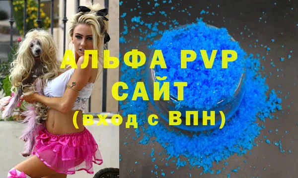 шишки Белокуриха