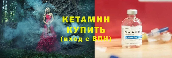 шишки Белокуриха