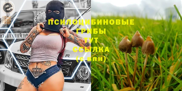 шишки Белокуриха