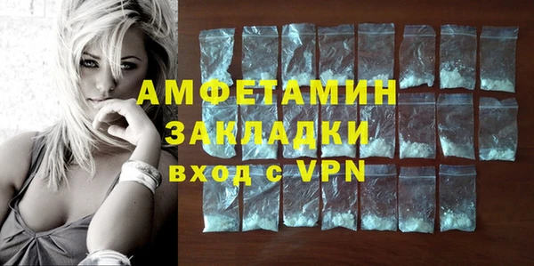 шишки Белокуриха