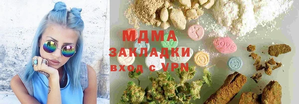 шишки Белокуриха
