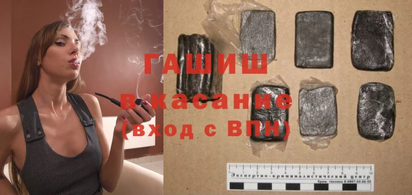 шишки Белокуриха