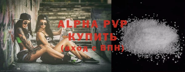 шишки Белокуриха