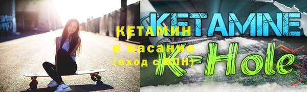 шишки Белокуриха